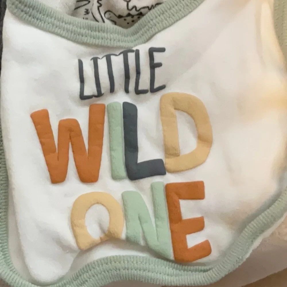 Mighty Cute Baby Bibs Set - Red, Gray, Brown